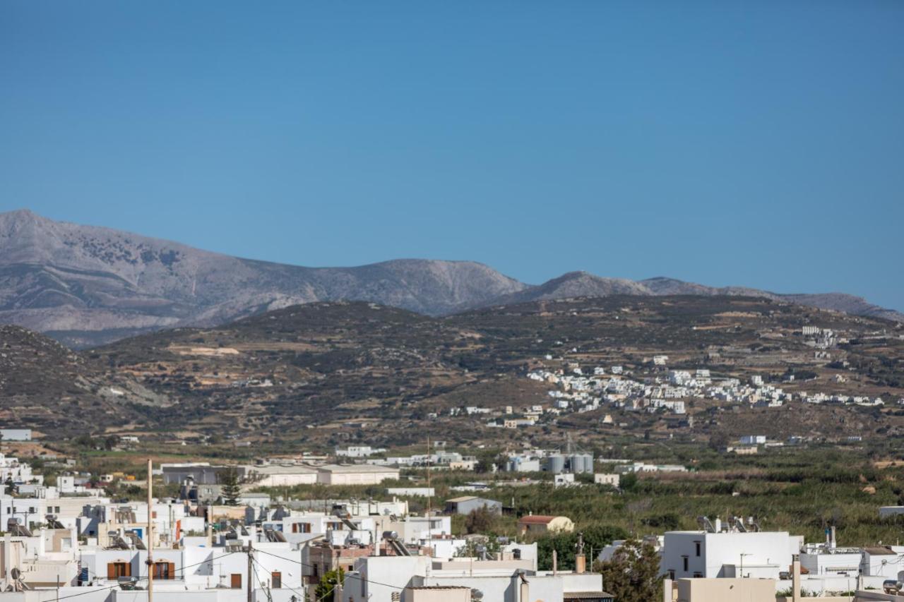 Naxian Icon Luxury Residence Naxos City Екстер'єр фото